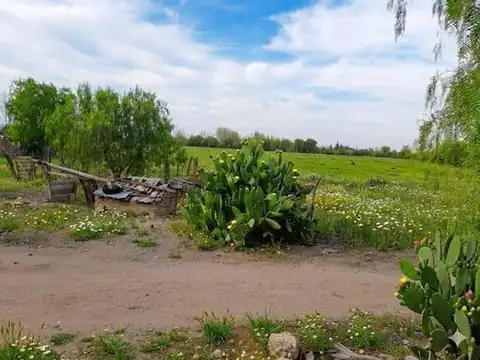 Terreno en Venta en Rama Caída, USD 130.000