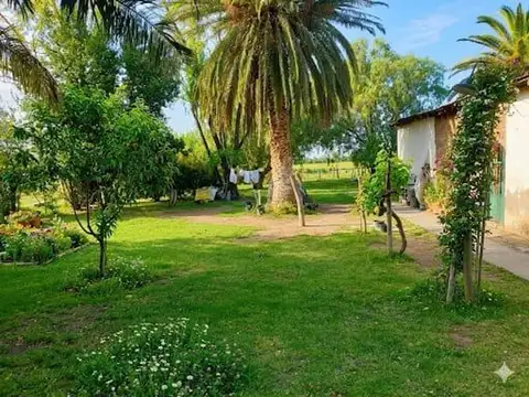 EJERCITO DE LOS ANDES 5600