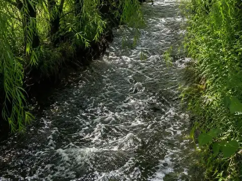 VENTA 6 HECTAREAS EN RAMA CAIDA