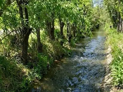 Terreno en Venta de 60000,0 m2