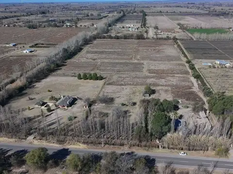 EJERCITO DE LOS ANDES 5600