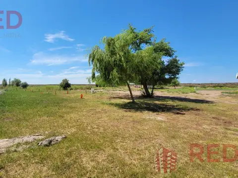 Terreno en Venta 25  mts Fondo