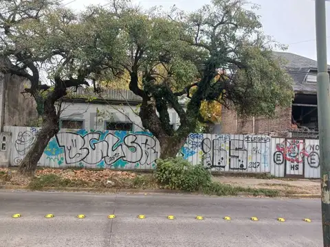 Colon 3000, Piso 0