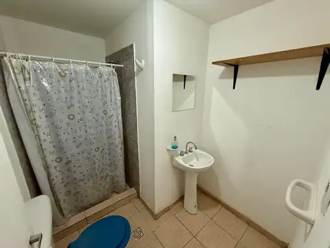 Pehuenches 100