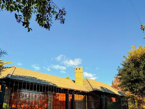 Lisandro de la Torre 460