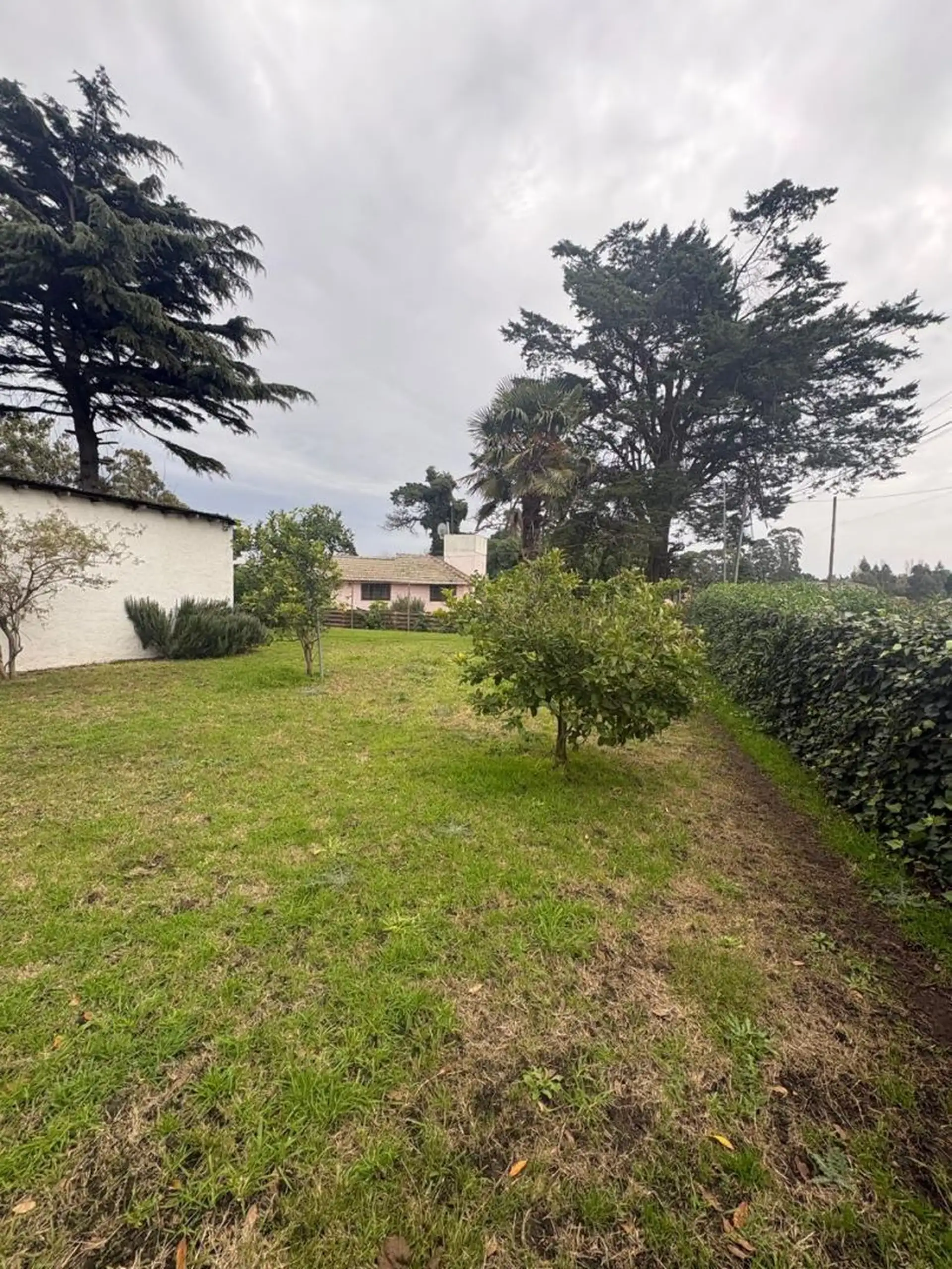 Casa quinta en venta con taller sobre lote de 2.658 m² - Ruta 88