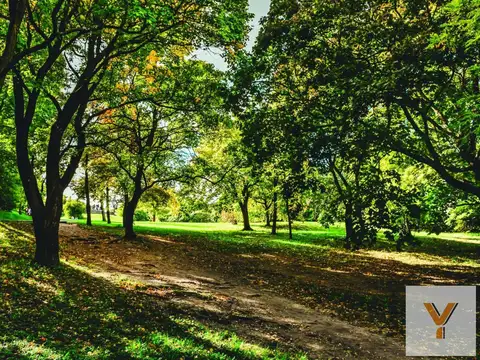 Terreno en Venta de 800,0 m2