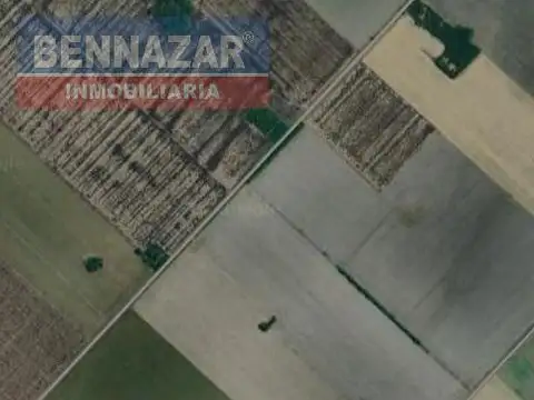 Campo en Ramallo Paraíso 28 hectáreas