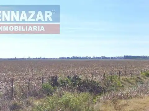 Campo en Ramallo Paraíso 28 hectáreas