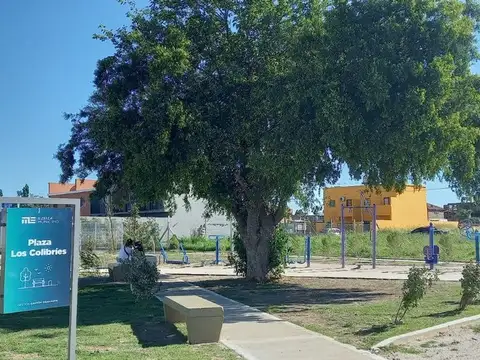 Julio Argentino Roca 300