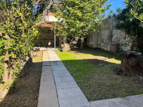Larrea 1300