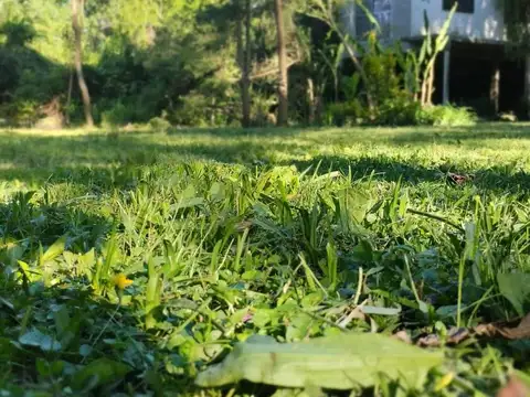 ISLA EN VENTA TIGRE