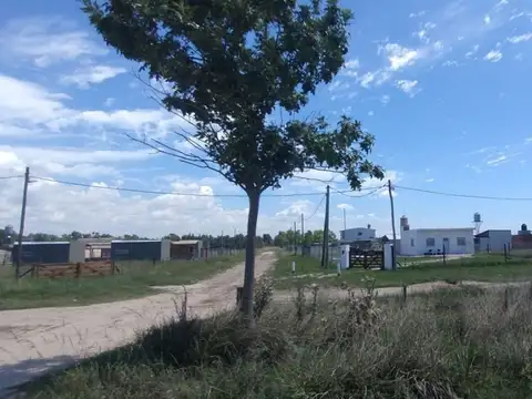 Terreno - Venta - Argentina, Domselaar