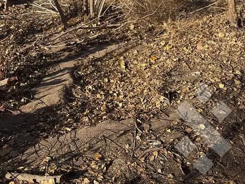 Terreno en Cinco Saltos