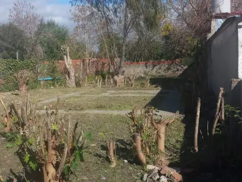 3 entre 110 y 112 Punta Lara