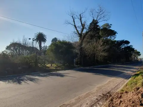 Excelente Ubicación  Frente al estadio UNICO