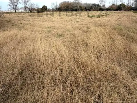 Terreno de 2.037m2 sobre Ruta 4-S de 24,55m x 83m
