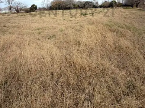 Terreno en Venta en Venado Tuerto, USD 29.000