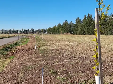 Los Pasos Golf Avenida San José De Calasanz 9500