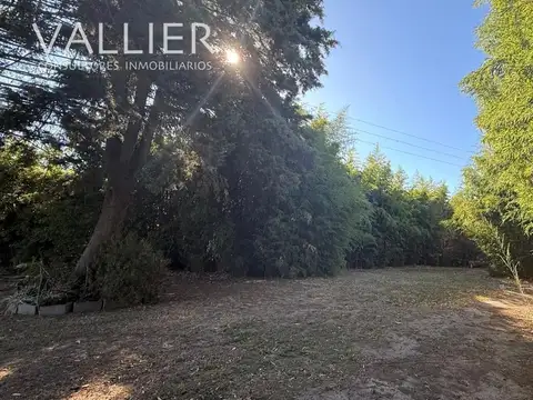Terreno en Venta de 298,0 m2