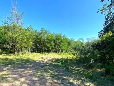 De La Pradera 100, Piso 0