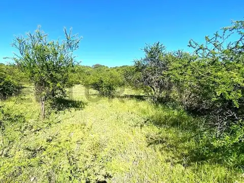 Terreno en Venta en Las Vertientes De La Granja, USD 69.900