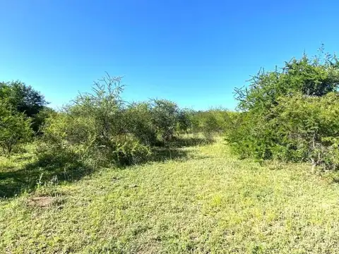 Campito a la venta en VERTIENTES DE LA GRANJA