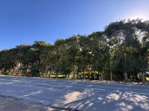 Av. Libertador San Martín