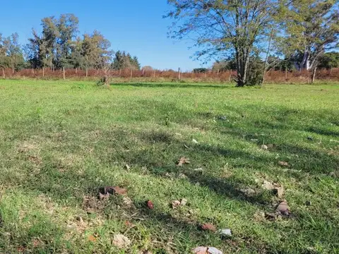 Terreno en Venta en Oliveros, Iriondo