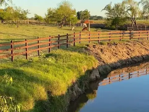 Mar Del Plata Y