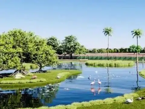 Terreno en Venta de 300,0 m2