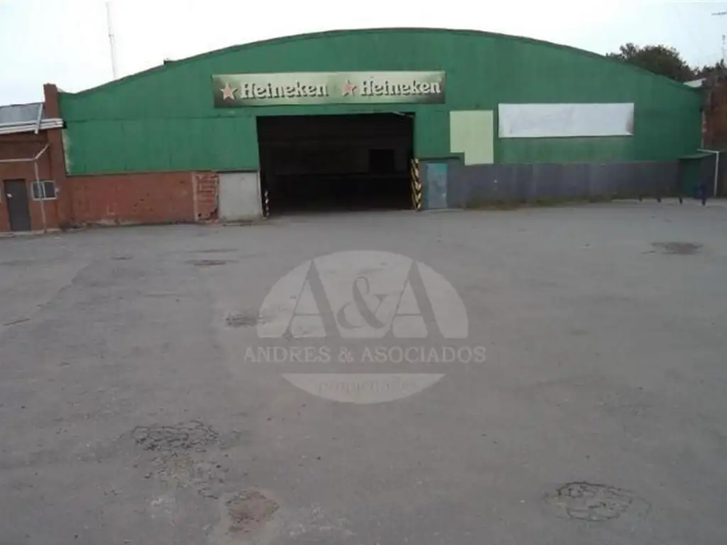 Ruta 8