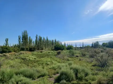 Venta Lote apto desarrollo 2ha San Martin Mendoza