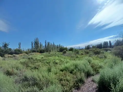 Venta Lote apto desarrollo 2ha San Martin Mendoza