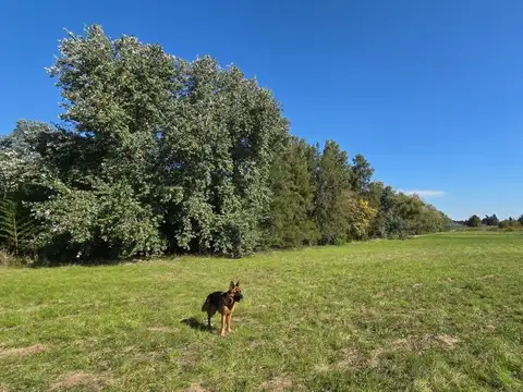 VENTA CAMPO CHACRA 8HAS CASA OPEN DOOR LAGUNA POLO