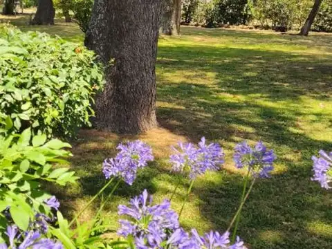 Quinta en Venta en Gonzalez Catan, USD 170.000