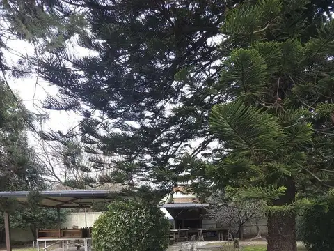 Casa en Venta en Villa Luzuriaga, USD 380.000