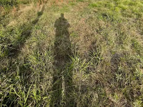 Terreno en Venta en Carcaraña, USD 22.000