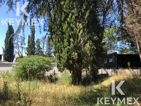 Terreno en Venta de 800,0 m2