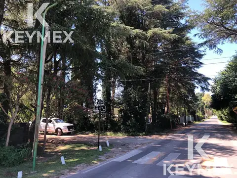 Terreno en  Venta en Villa Elisa 800 m2