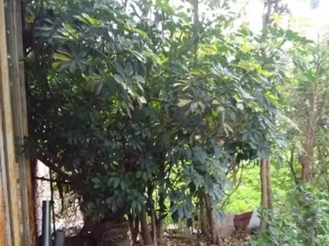 Departamento en Venta al Oeste