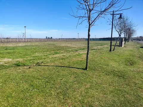 Lote en venta en Haras del Sur III