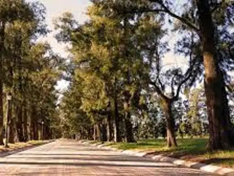 Venta Lote 1000m Azahares del Paraná Permuta