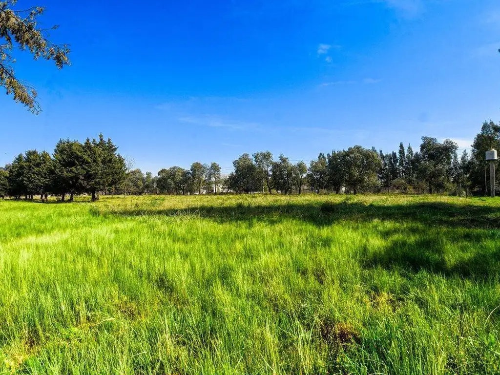 San Vicente, Provincia de Buenos Aires