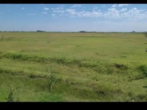 Fighiera, campo de 3,3 hectareas, oportunidad