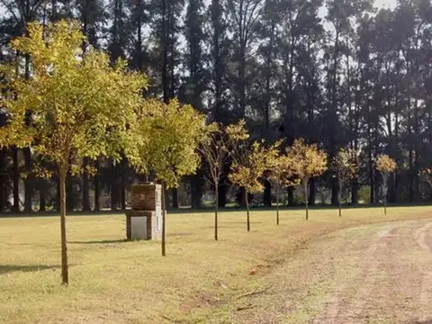 Terreno en Venta en Lujan, USD 65.000