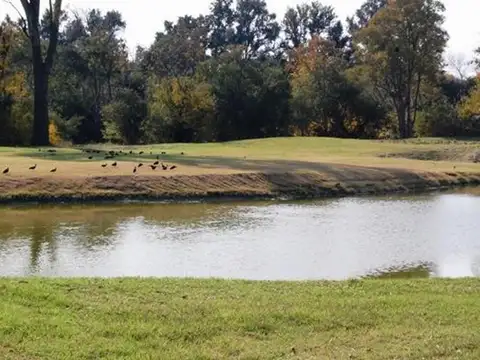 Callejon A La Escondida