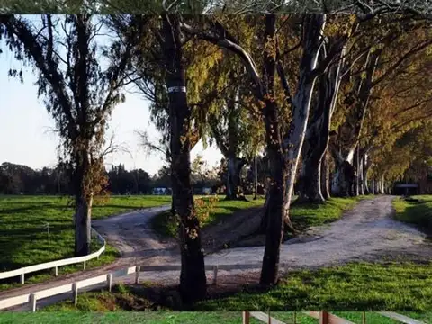 Lote en Venta en Club de Campo La Asunción - VENDE O VENDE