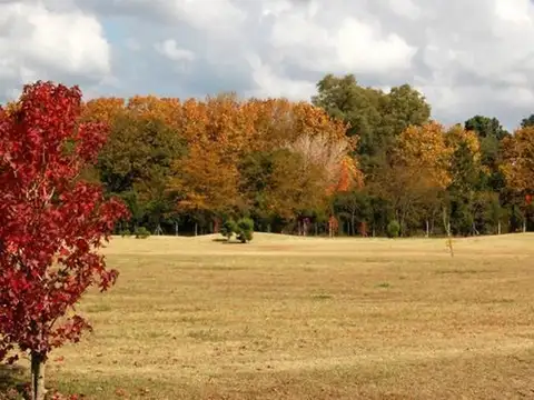 Terreno en Venta en Lujan, USD 65.000