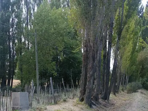 Venta de 1/2 hectarea a 100 metros de la ruta 22